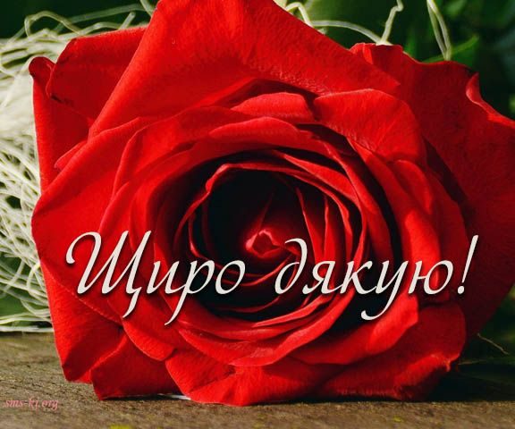 СМС слова дякую за привітання з днем народження українською